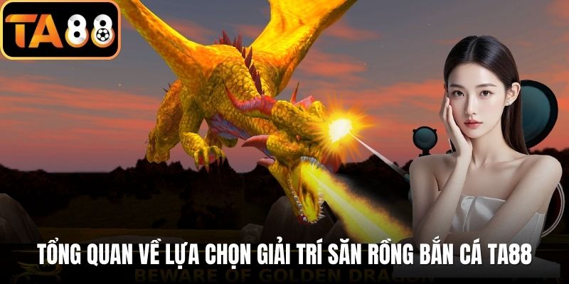 Tổng quan về lựa chọn giải trí săn rồng bắn cá TA88